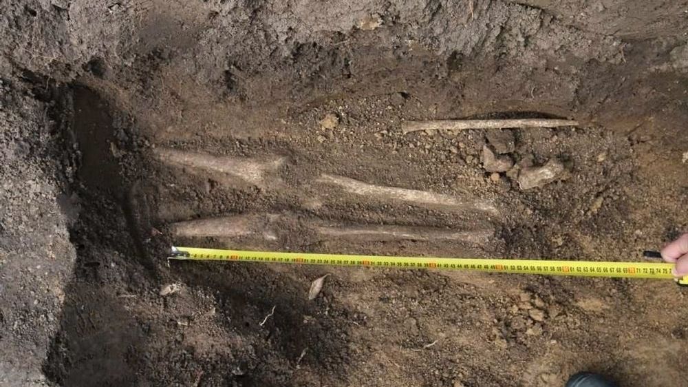Při výkopu pro bazén našel tisíc let starou kostru
